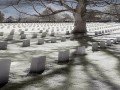 Why is it Important for Muslims to Remember Death?