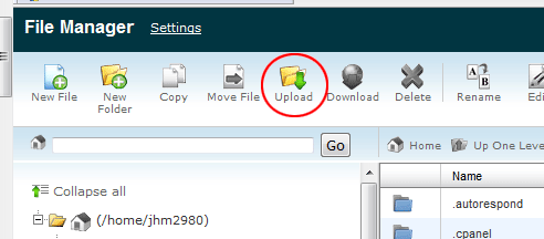 Upload option in a cPanel host