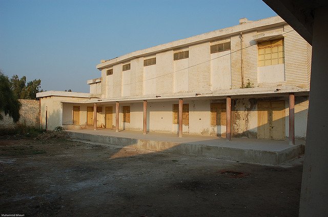 Leading the Education System to Failure