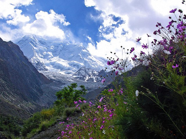 Photo by Muzaffar Bukhari