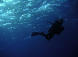 Diving off the Coast of Pakistan