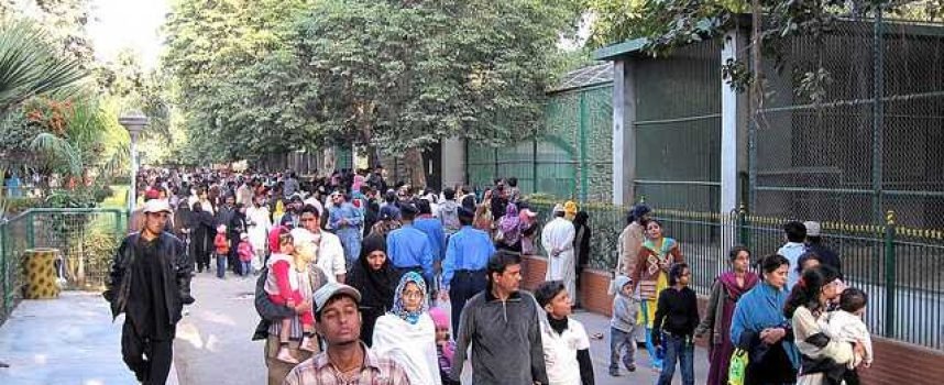 You Know You’re a Pakistani When…