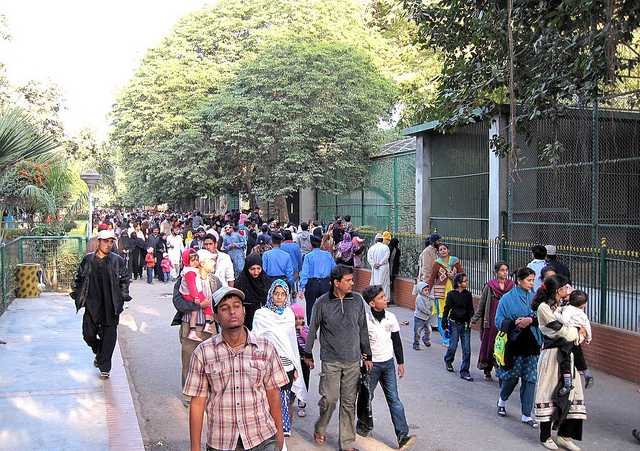 You Know You’re a Pakistani When… You know you're a Pakistani when...