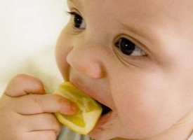 Baby’s Diet – Difference between Success and Failure in Life