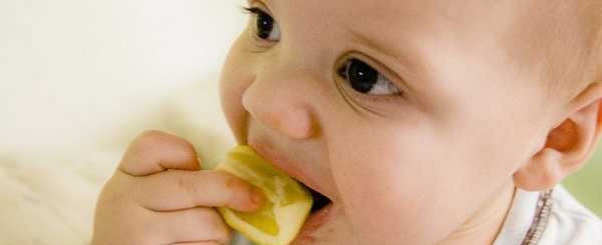 Baby’s Diet – Difference between Success and Failure in Life