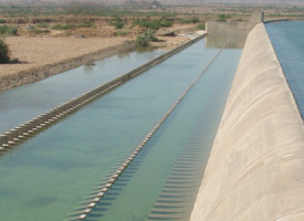 Chotiari Dam – an Ecosystem To Be Savored