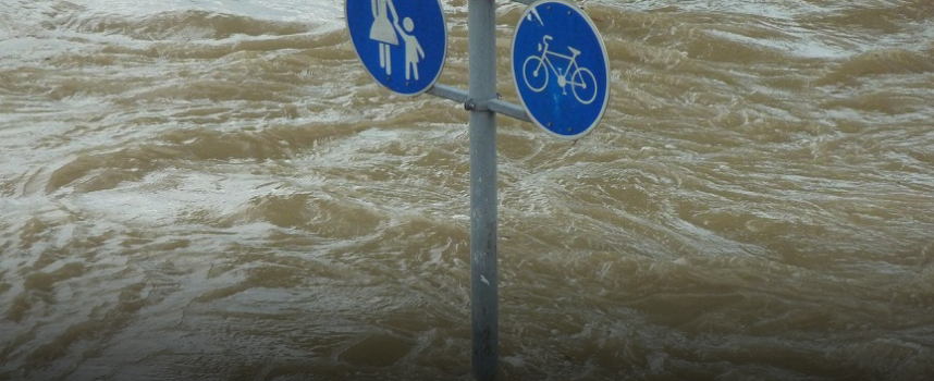 Disaster Management and Way Forward For Pakistan