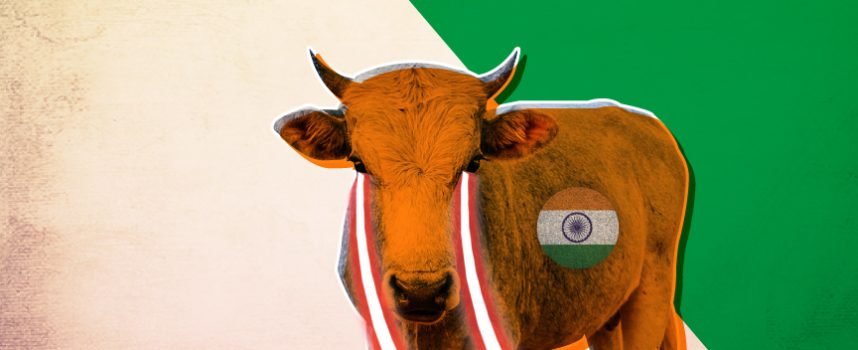 India Perturbed By Deployment Of Cattle Along China-Pak Economic Corridor