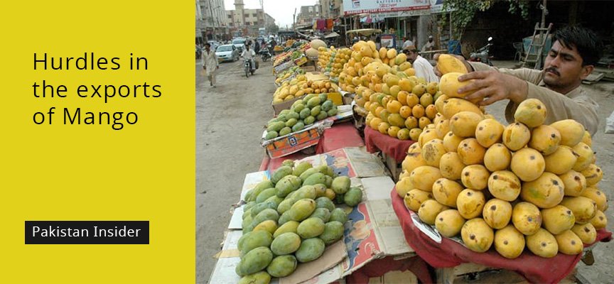 Hurdles in the exports of Mango Mango